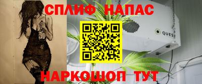 сатива Бердск