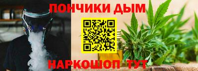 сатива Бердск