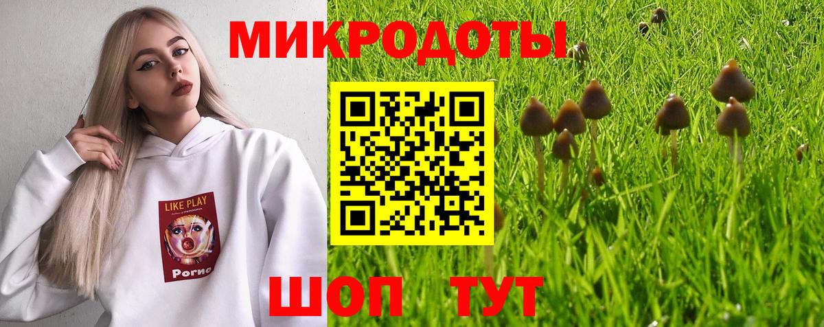 Галлюциногенные грибы мицелий Анжеро-Судженск